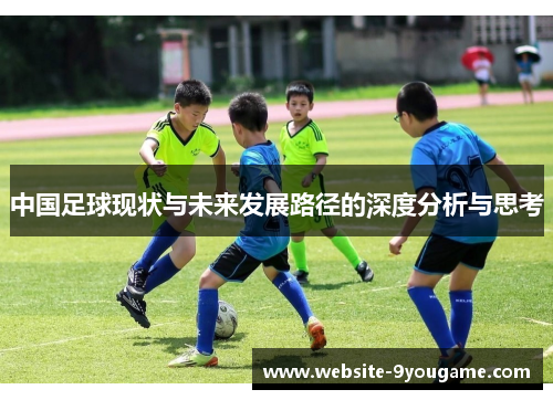 中国足球现状与未来发展路径的深度分析与思考