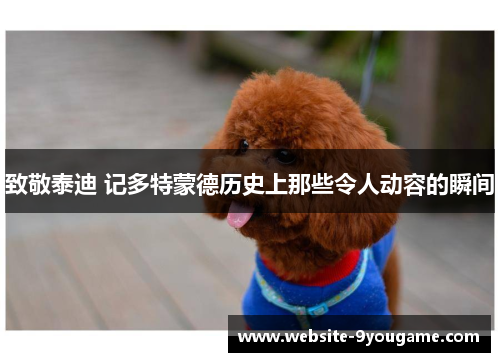 致敬泰迪 记多特蒙德历史上那些令人动容的瞬间