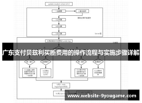 广东支付贝兹利买断费用的操作流程与实施步骤详解
