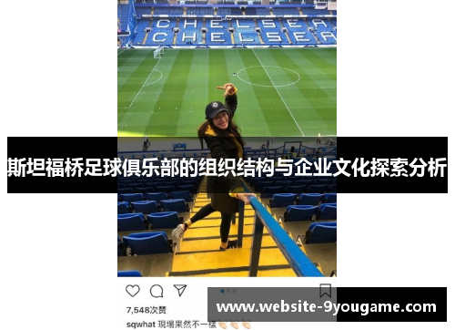 斯坦福桥足球俱乐部的组织结构与企业文化探索分析