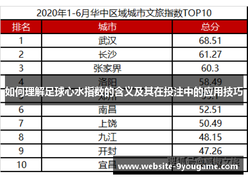 如何理解足球心水指数的含义及其在投注中的应用技巧